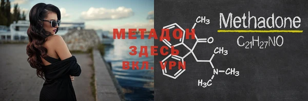 стаф Алексин