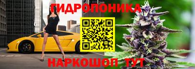 стаф Нальчик